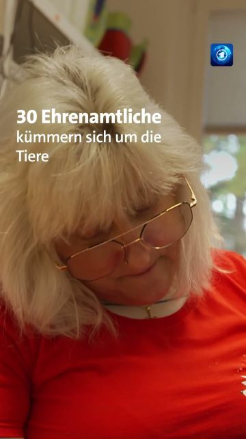 Igelstation: Hilfe für Igel in Not